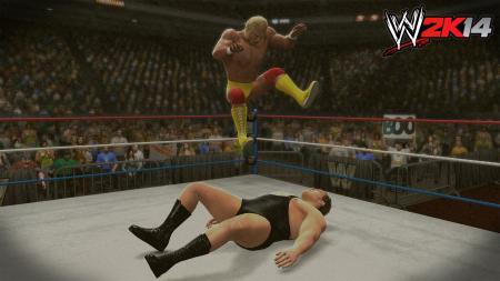 Hogan vs Andre the Giant