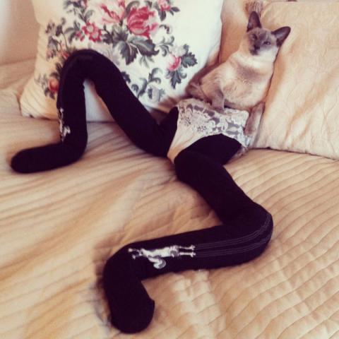 kat in tights