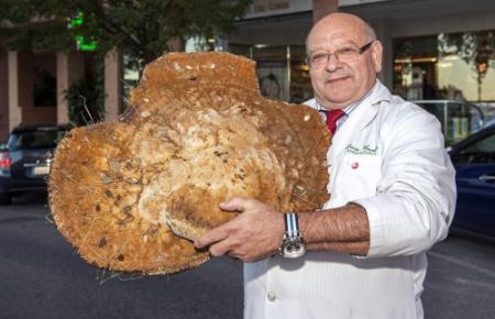Spanjaard vindt paddenstoel van 12 kilo