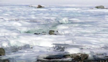 Toeristen vast in ijs bij Antarctica