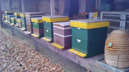 Bijenkasten (en korf) van Bos
