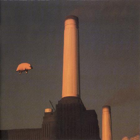 Pink Floyd - Animals 5