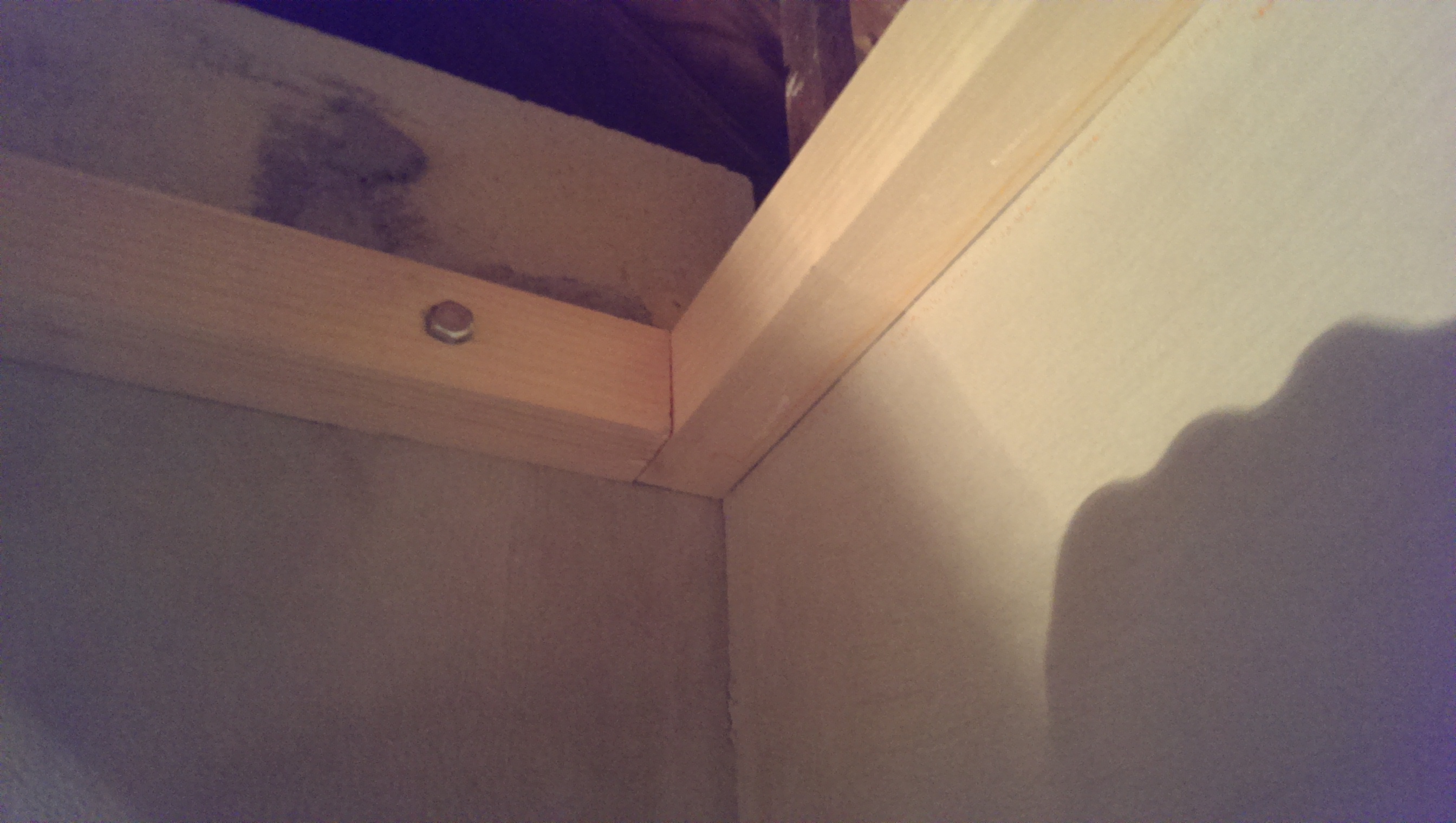 140126_148800_1.jpg
