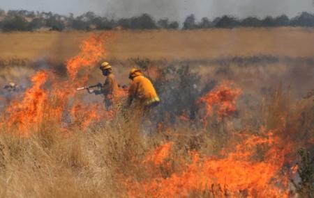 Bosbranden teisteren zuid-oosten Australië