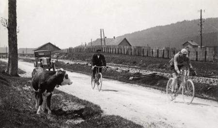 Een koe ziet Jules Buysse passeren in 1926, onderweg naar winst in Mulhouse (Foto: WikiCommons/Tekstman)