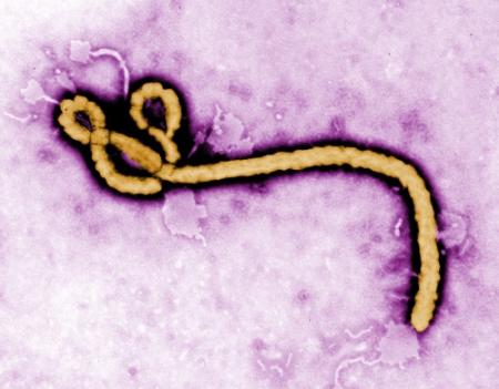 'Mogelijke ebolabesmetting in Alicante'