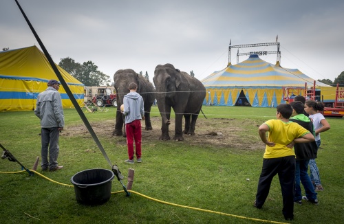 'Circus zonder wilde dieren net zo boeiend'