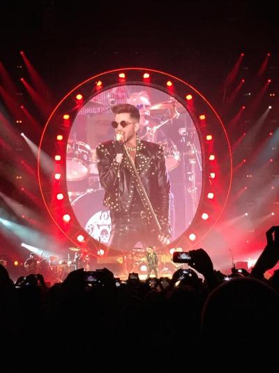 Adam Lambert 2015 (Foto: Rein van Laak)