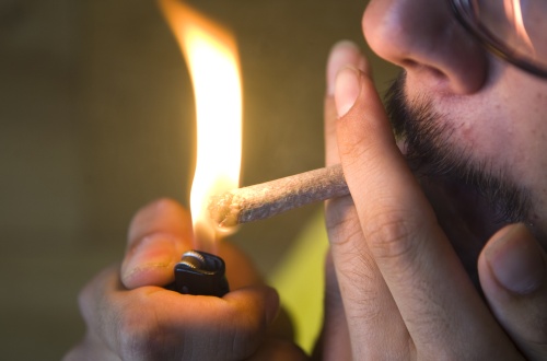 Bondsdag praat over legalisering cannabis