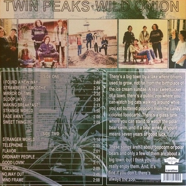 Twin Peaks - Wild Onion 1