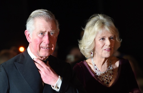 Britten willen Camilla toch niet als koningin