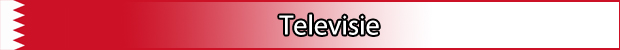 Televisie bahrein