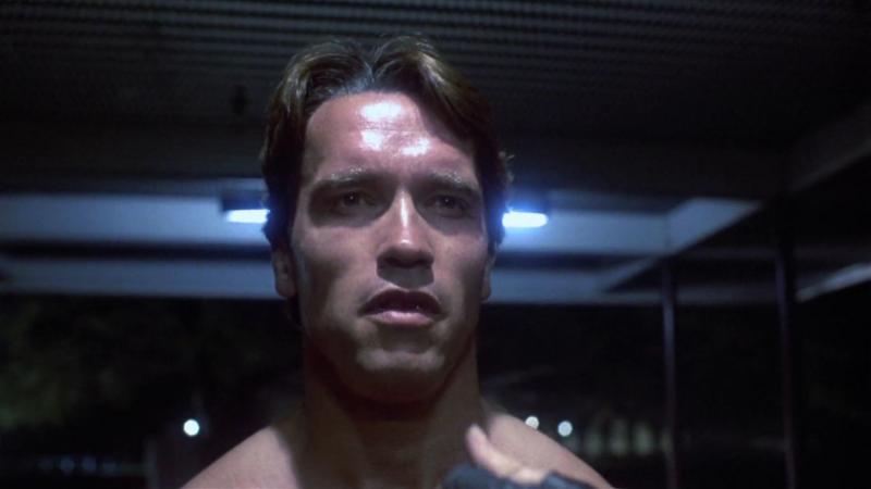 The Terminator Schwarzenegger