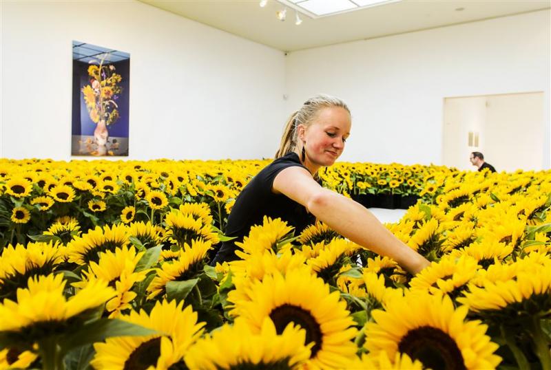 Museum gevuld met zonnebloemen voor MH17