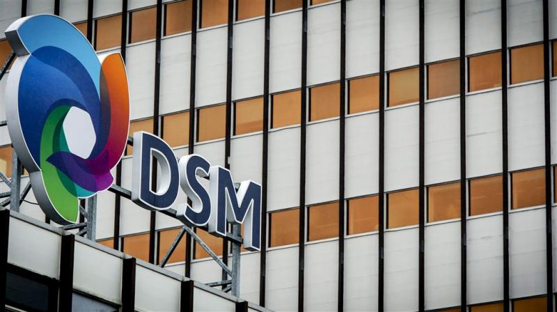 DSM schrapt honderden banen