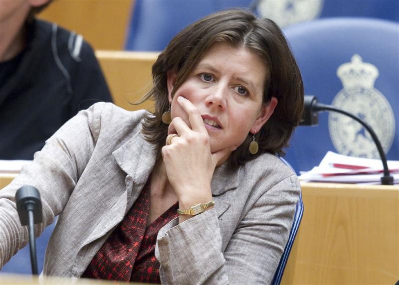 VVD en PvdA oneens over aanpak vakenssector
