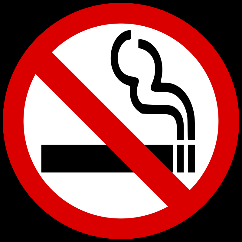 Roep om algeheel rookverbod Efteling (Foto: WikiMedia)