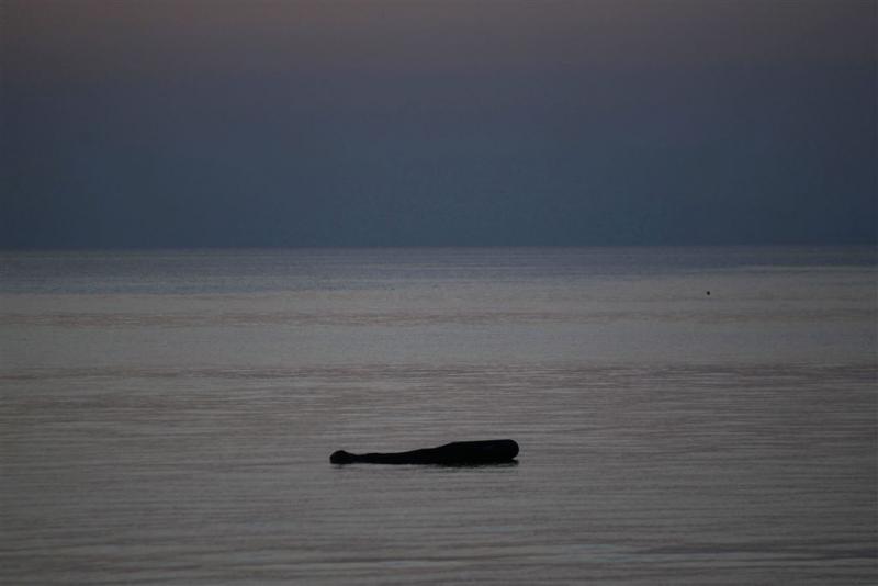 28 vluchtelingen verdronken voor Griekse kust