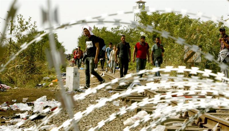 Migranten trekken naar grens Servië-Kroatië