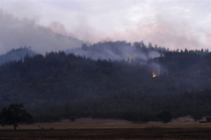 Bosbranden Californië verder teruggedrongen