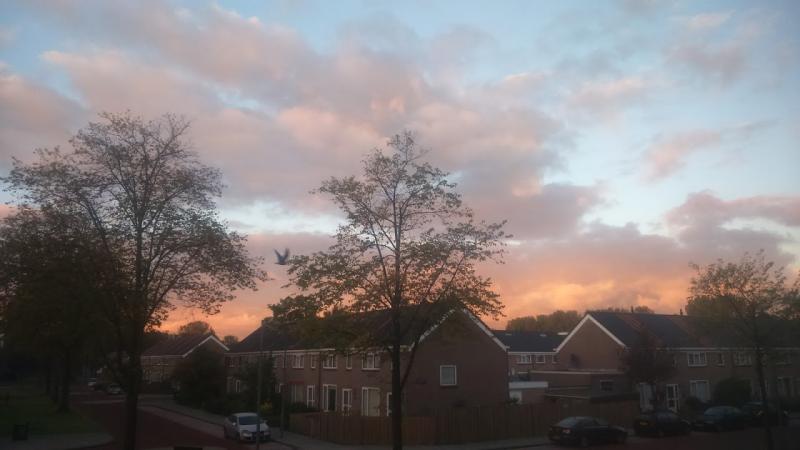 Zonsondergang in Alkmaar (Foto: DJMO)