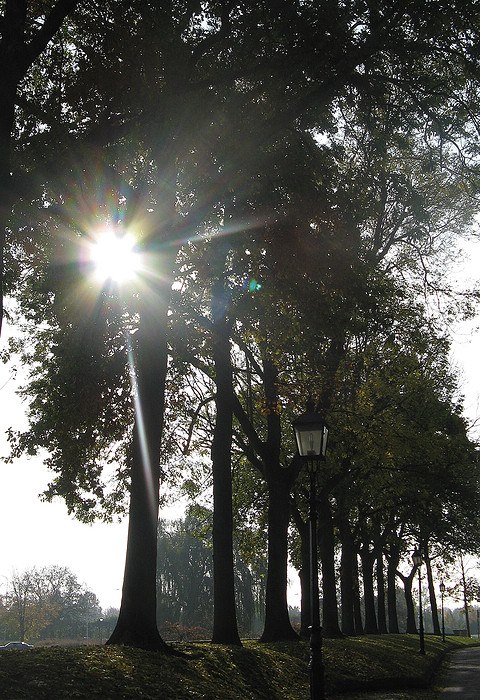 Herfstdag in Rheden (Foto: Joke)