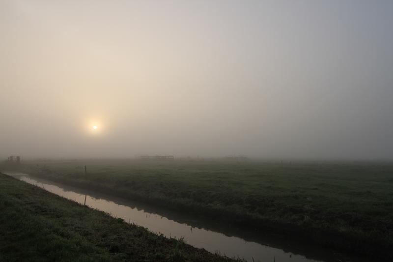 Zon door de mist heen  (Foto: klapmongeaul)