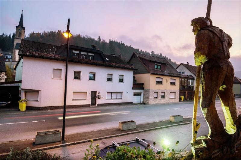 Moeder dode baby's Duits huis bekent schuld