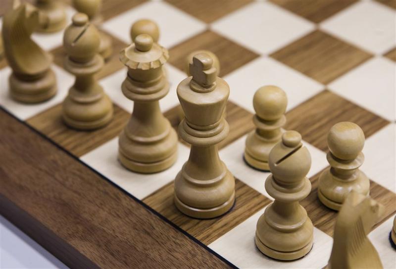 'Rijzende ster' Eljanov in Tata Steel Chess