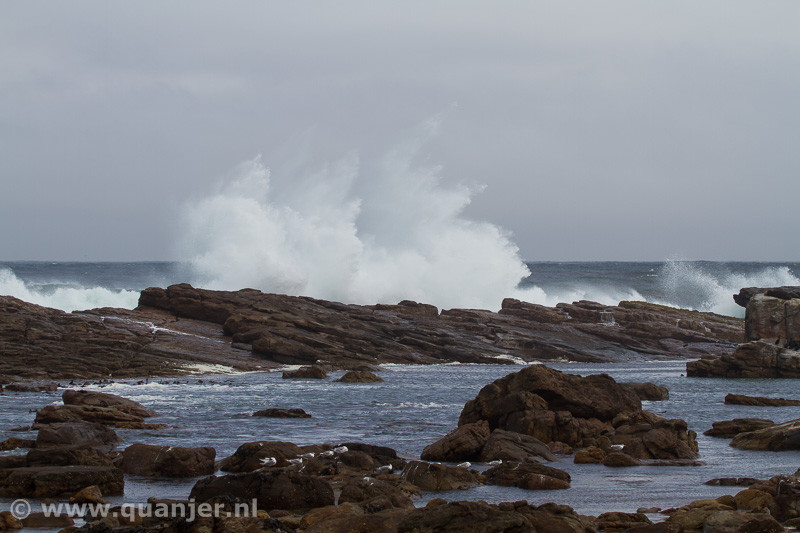 Stormachtige golven voor de kust (Foto: Duco)