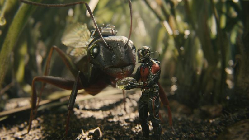 Ant-Man: Scott Lang voert een mier