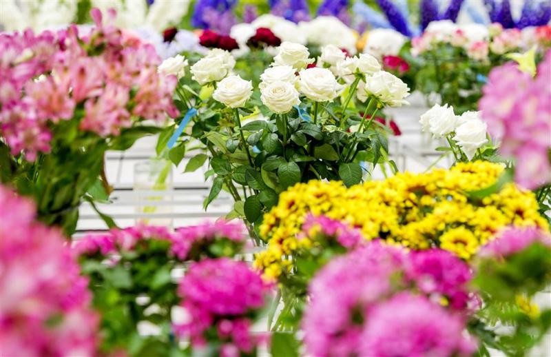 Bloemenexporteurs rekenen op recordjaar