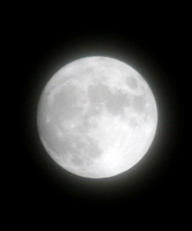 volle maan (Foto: bondage)