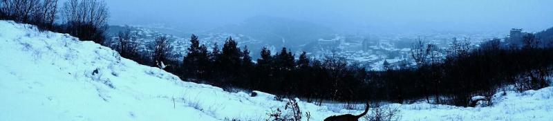 Veliko Tarnovo in de sneeuw  (Foto: Dven)