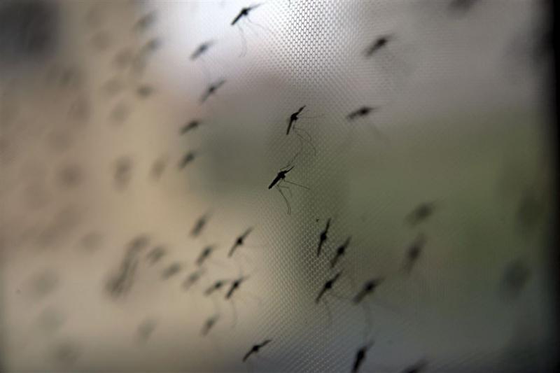 Tien Nederlanders besmet met zika-virus