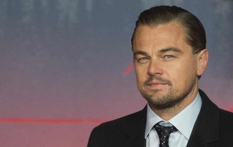 Leonardo DiCaprio ontmoet paus