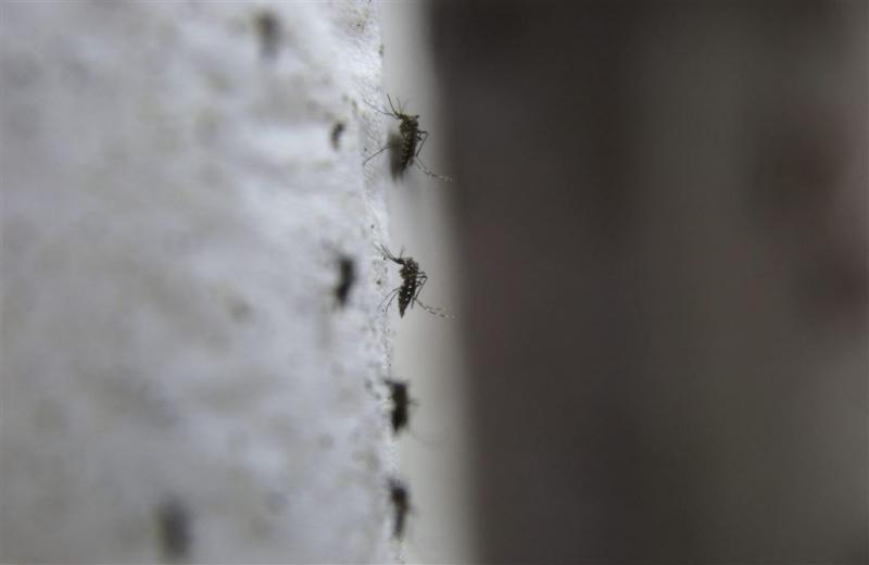 'Insmeren met antimuggenspul is enige optie'