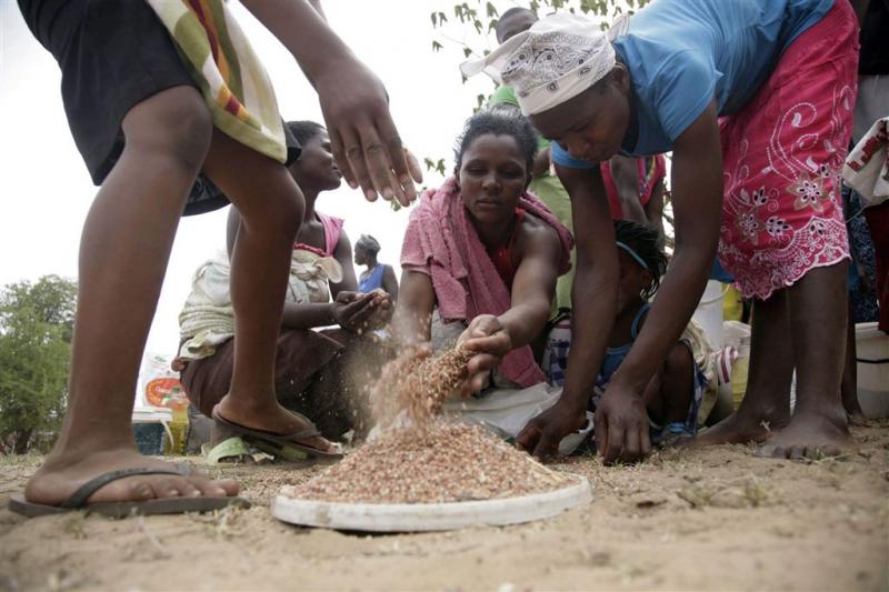 Noodtoestand Zimbabwe om droogte