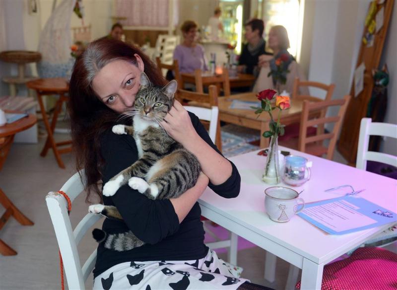 Betaald katten aaien in het Britse Cat Cafe
