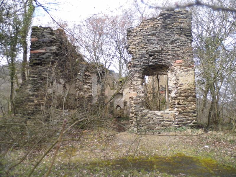 Bezoek aan Ruine Waldeck (foto: qltel)