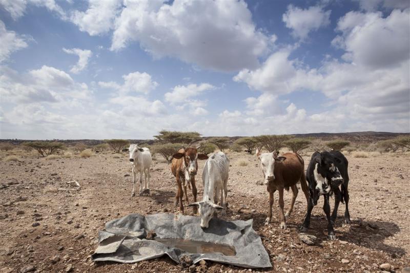 Ruim 120 miljoen tegen hongersnood Ethiopië