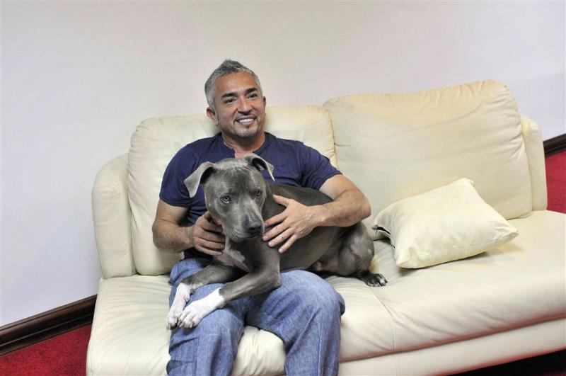 Hondenfluisteraar Cesar Millan vrijgesproken