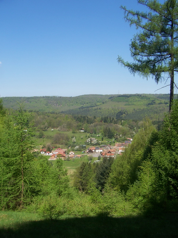 Wandeling door het Pfalzerwald in Duitsland. (Foto: qltel)