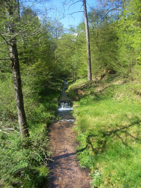 Wandeling door het Pfalzerwald in Duitsland. (Foto: qltel)