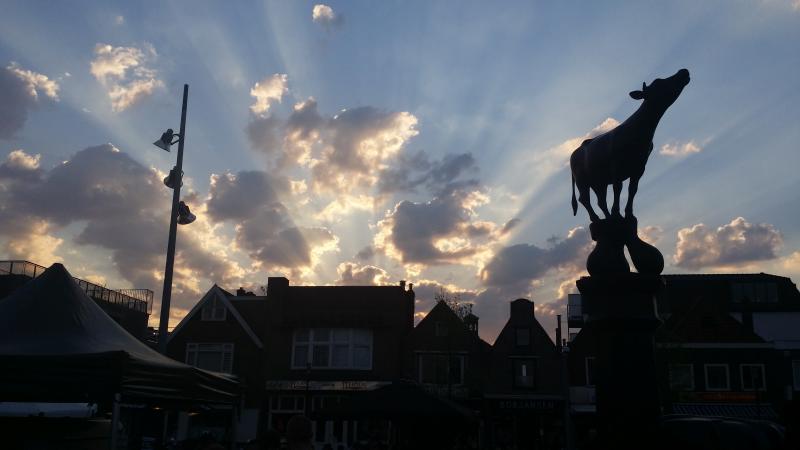 De koemarkt in Purmerend (Foto: AJ)