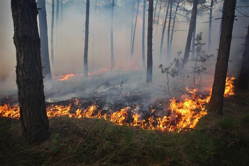 Iets minder risico op natuurbranden