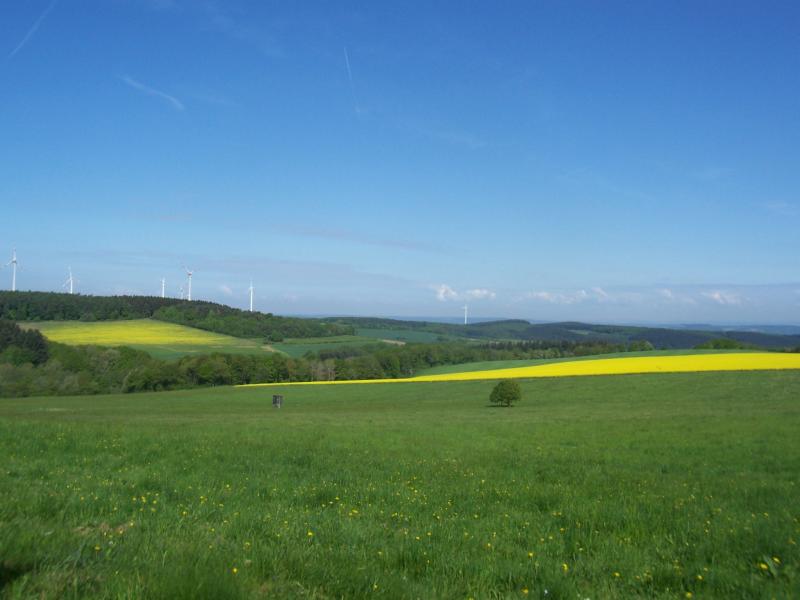 Wandeling in de omgeving van Morbach (Duitsland) (Foto: qltel)