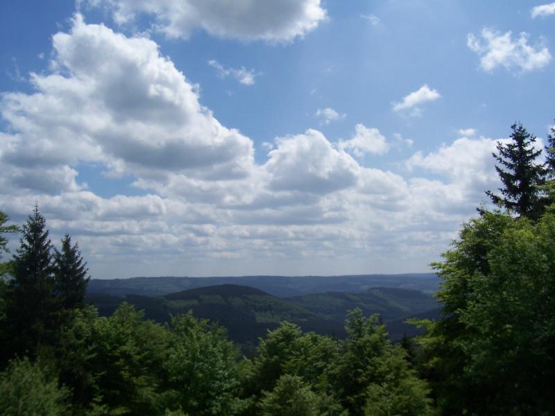 Wandeling door het Sauerland (Foto: qltel)