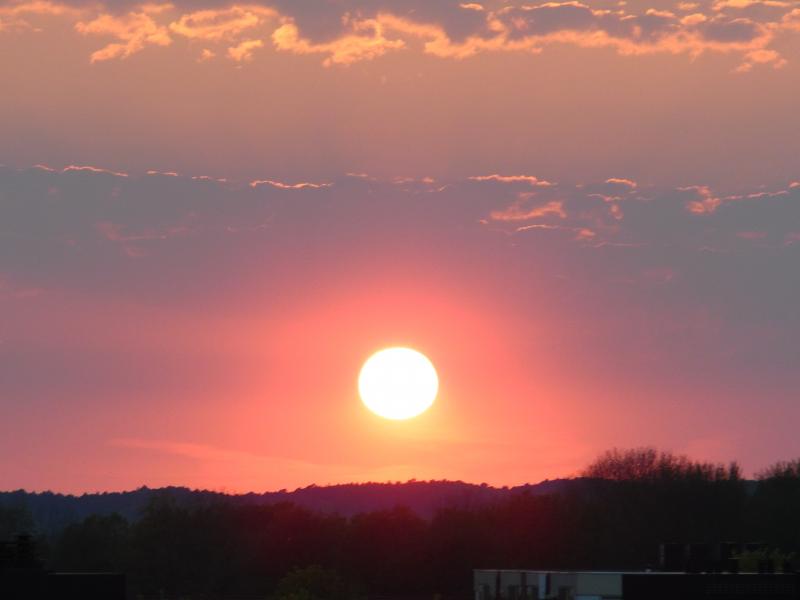 De avondstond heeft goud in de mond (Foto: Papabear)