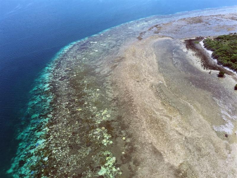 'Great Barrier Reef geschrapt uit VN-rapport'
